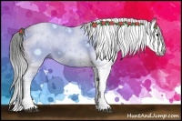 Horse Color:Gray Bay Splash 