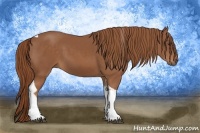 Horse Color:Chestnut Tobiano 