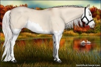 Horse Color:Silver Classic Champagne Dun Splash 