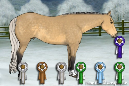 Horse Color: Silver Buckskin 