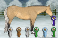 Horse Color:Silver Buckskin 