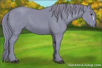 Horse Color:Watercolor Black 