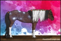Horse Color:Bay Tobiano 