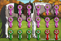Horse Color:Grullo Tobiano 