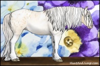 Horse Color:Gray Silver Amber Cream Champagne Roan Dun Splash Tobiano Frame Appaloosa Rabicano 