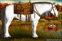 Horse Color:White Spotted Bay 