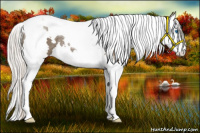 Horse Color:White Spotted Silver Smoky Black Splash Tobiano Rabicano