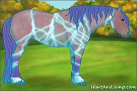 Horse Color:Thunderstruck Watercolor Bay Roan 