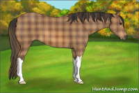 Horse Color:Plaid  Bay 