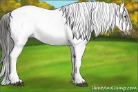Horse Color:White Spotted Liver Red Dun Frame 