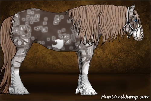 Horse Color: Liver Chestnut Ice Frame 