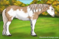 Horse Color:Chestnut Splash Frame Brindle