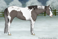 Horse Color:Smoky Grullo Splash Tobiano 