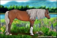 Horse Color:Silver Bay 