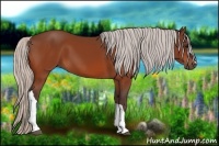Horse Color:Silver Bay 
