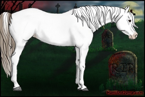 Horse Color: White Spotted Smoky Black Splash Snowcap 