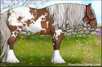 Horse Color:White Spotted Silver Bay Snowcap