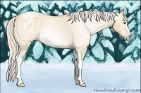Horse Color:Gray Silver Amber Cream Champagne Roan Dun Splash Tobiano Frame Blanket Rabicano 