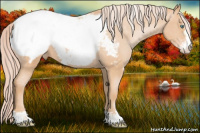 Horse Color:Chocolate Palomino Pearl Sabino Snowcap 