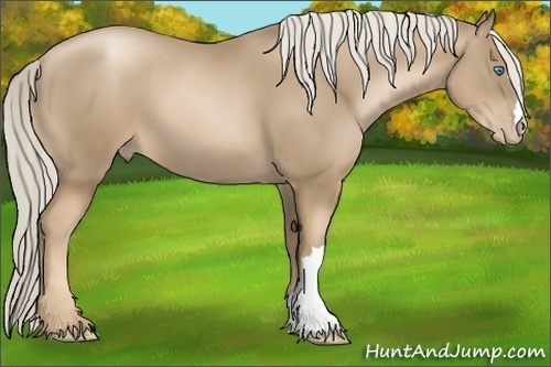 Horse Color: Chocolate Palomino Pearl 