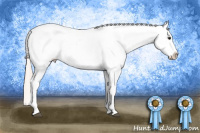 Horse Color:White Spotted Silver Bay Splash Appaloosa 
