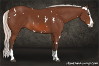 Horse Color:White Spotted Silver Bay Splash 