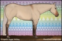 Horse Color:Silver Bay Dun 