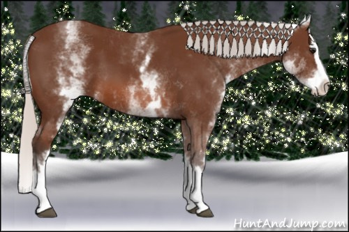 Horse Color: White Spotted Silver Bay Splash 