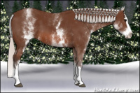 Horse Color:White Spotted Silver Bay Splash