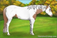 Horse Color:Chestnut Splash Tobiano Frame Blanket 