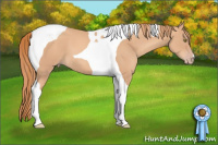 Horse Color:Gold Champagne Tobiano 
