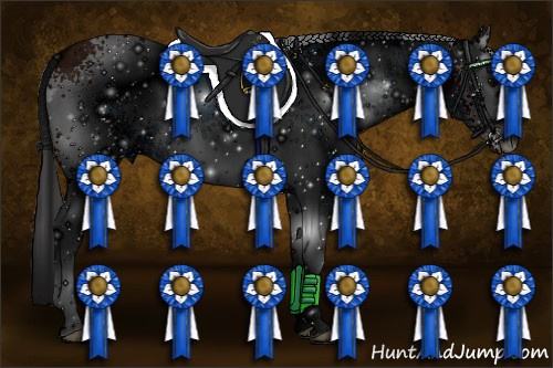 Horse Color: ERROR: UNKNOWN ANOMALY