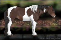Horse Color:Brown Tobiano 