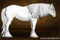 Horse Color:Cremello Dun Splash Tobiano 