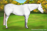 Horse Color:White Spotted Black Splash Tobiano Frame Blanket 