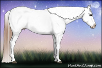Horse Color:White Spotted Black Splash Tobiano Frame Appaloosa