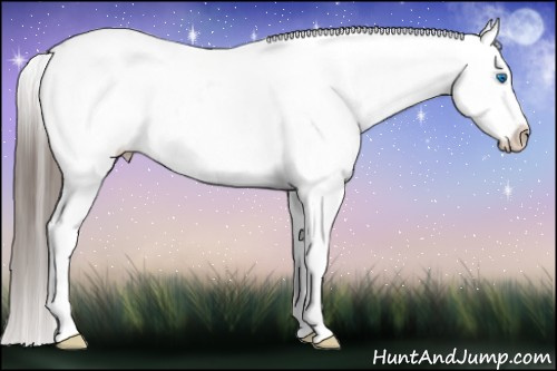 Horse Color: White Spotted Black Splash Tobiano Frame Varnish 