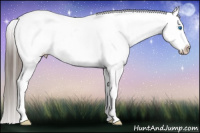 Horse Color:White Spotted Black Splash Tobiano Frame Varnish 