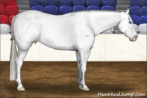 Horse Color: White Spotted Black Splash Tobiano Frame Blanket 
