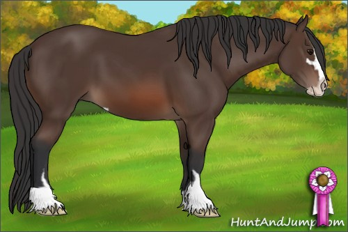 Horse Color: Brown Sabino 