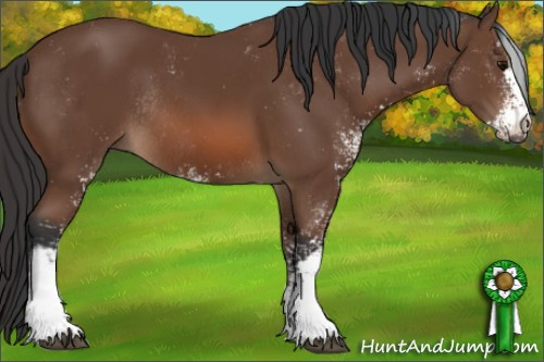 Horse Color: Bay Sabino Rabicano 