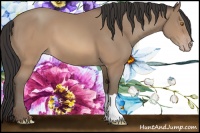 Horse Color:Sable Champagne 