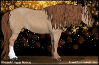 Horse Color:Red Dun  Brindle