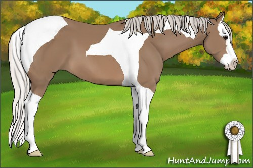 Horse Color: Silver Black Sabino Splash Tobiano 