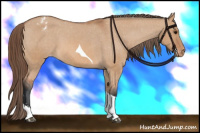 Horse Color:Bay Dun Sabino Tobiano Blanket