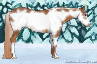 Horse Color:White Spotted Liver Chestnut Frame 