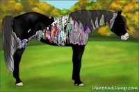 Horse Color:Brown Ice Splash Appaloosa 