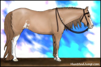 Horse Color:Black Pearl Sabino 