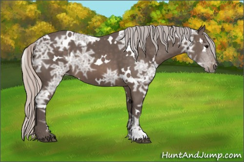 Horse Color: White Spotted Silver Black Ice 