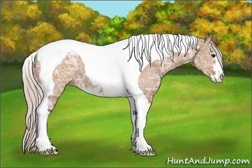 Horse Color: Silver Bay Ice Dun Sabino Tobiano 